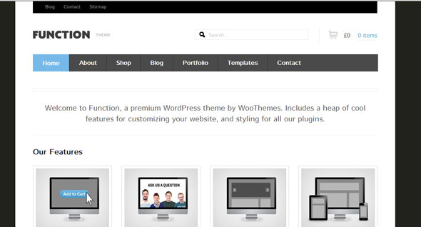Function - WooThemes Wordpres Template